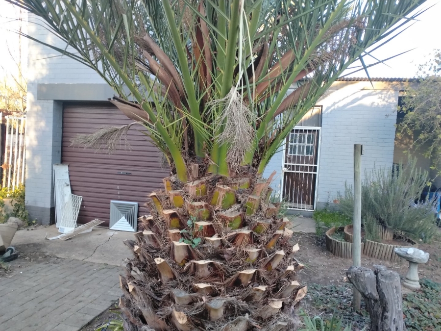 To Let 3 Bedroom Property for Rent in Noordhoek Free State